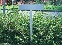 Parkeerbord kurf onbeletterd.webp