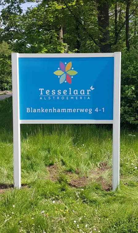 S80 console wit met dibond plaat.webp