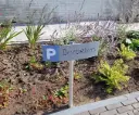Parkeerbord Kurf dia. 40mm paneelmaat 500x150mm