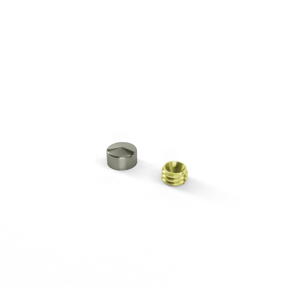 Sierkap dia. 10mm RVS