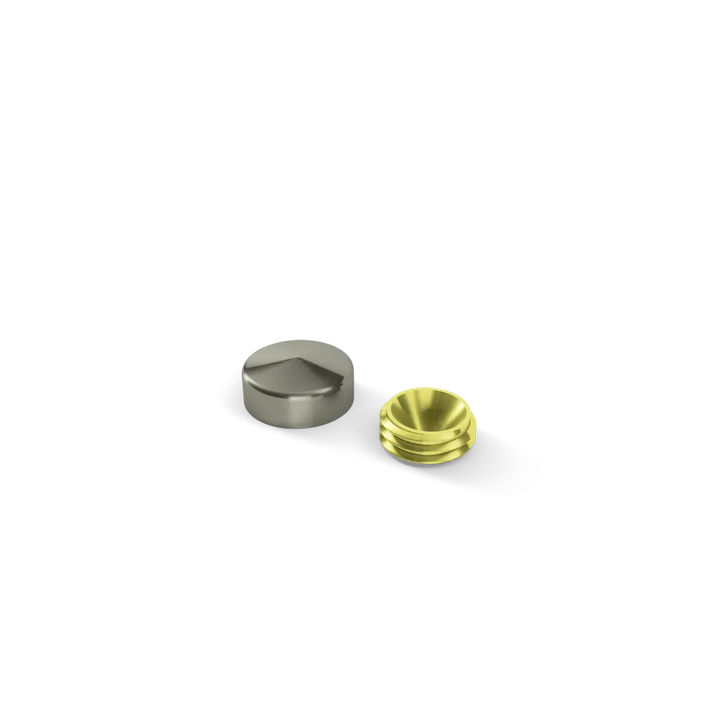 Sierkap dia. 14mm RVS