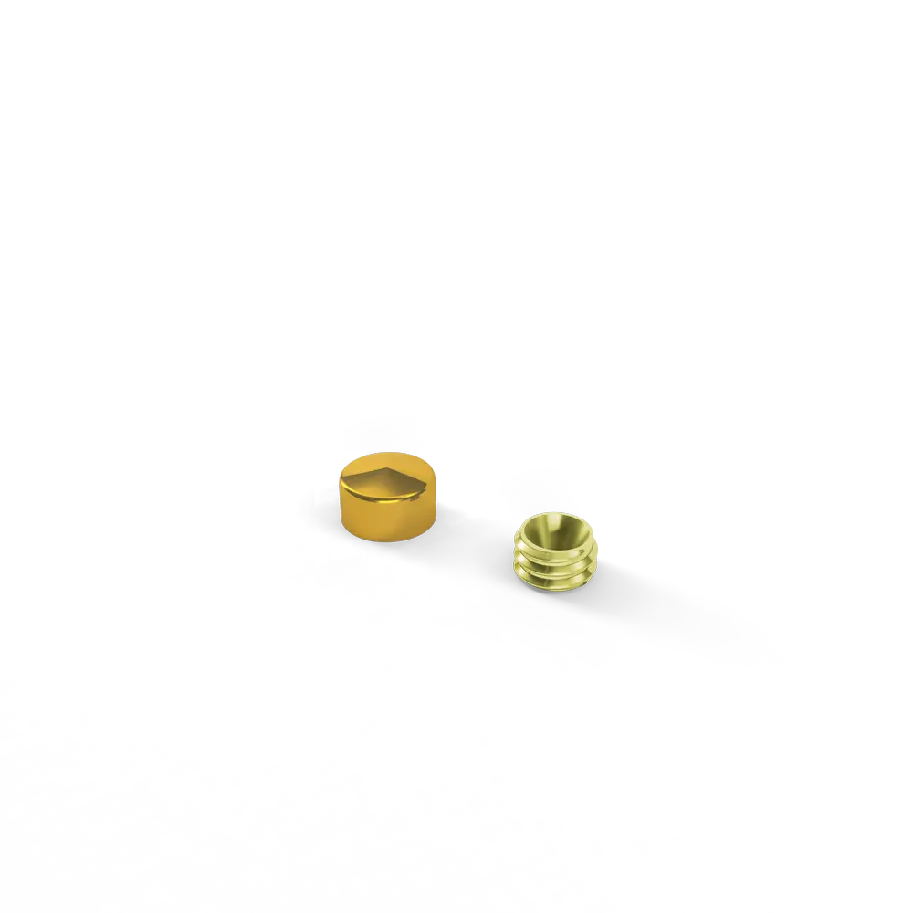 Sierkap dia. 10mm Verguld