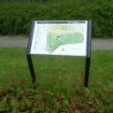 S60 Knik console op maat