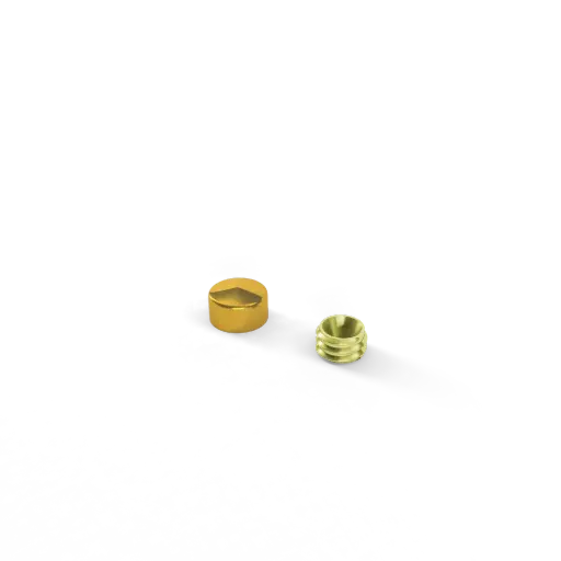 [SIKAPVG10] Sierkap dia. 10mm Verguld